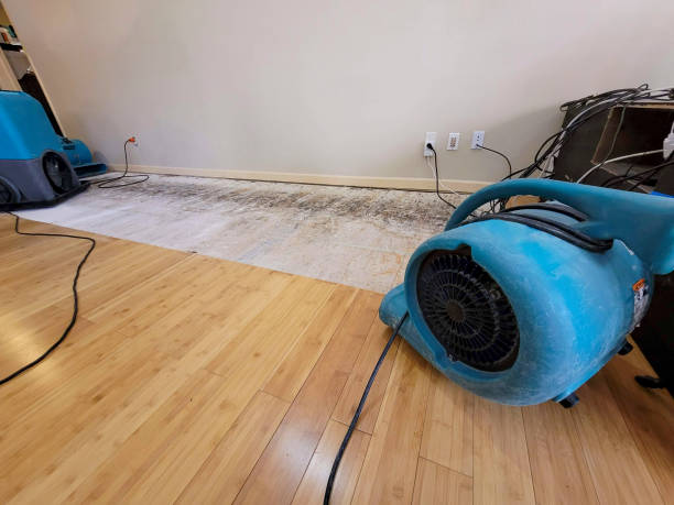 Professional Basement Flood Cleanup technician working in Bagdad, FL
